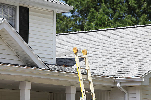 Demolition Debris Removal in Laurel, DE